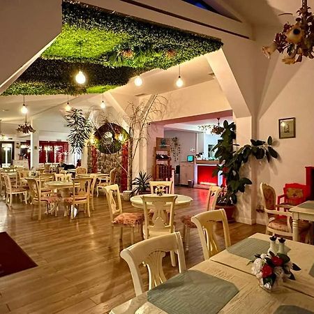 Vila Roxy Brassópojána Kültér fotó