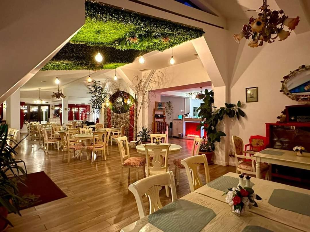 Vila Roxy Brassópojána Kültér fotó